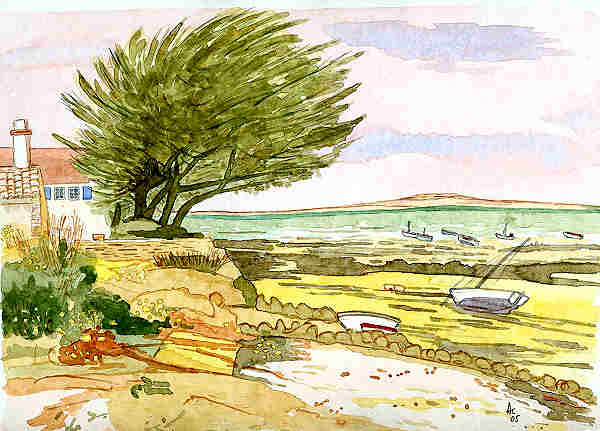 Clicar para ampliar.