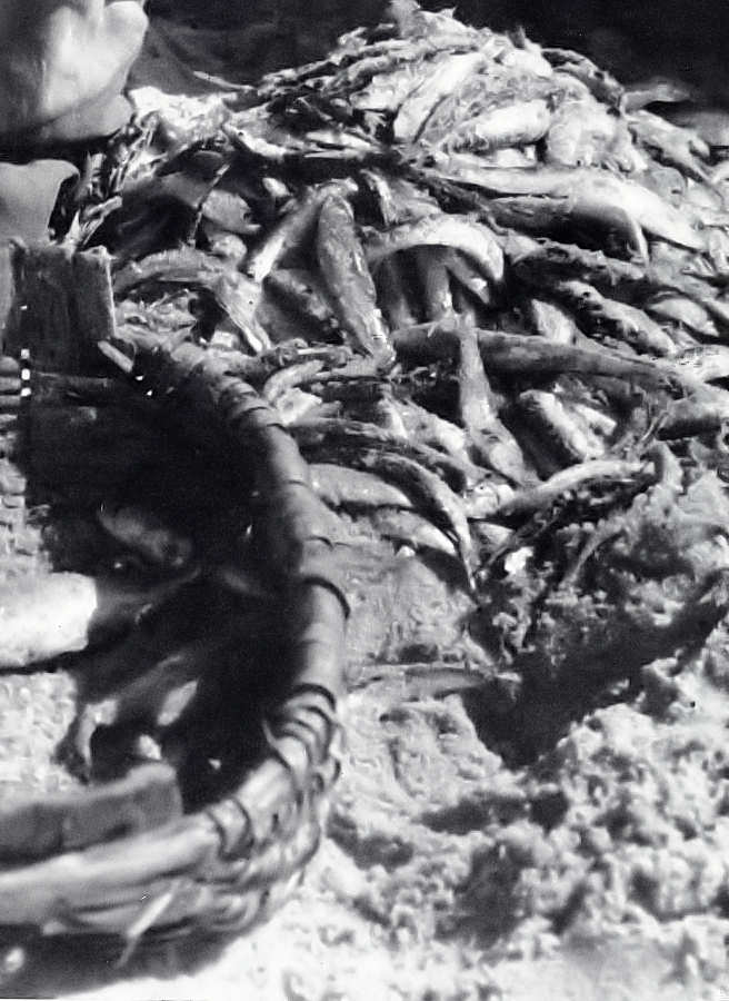 Clicar para ampliar.