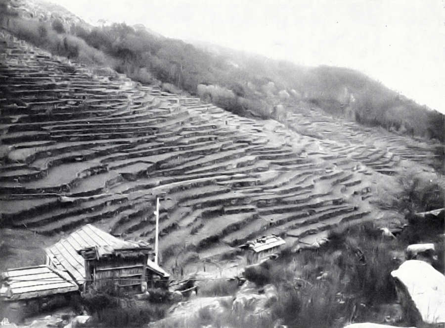 Clicar para ampliar.