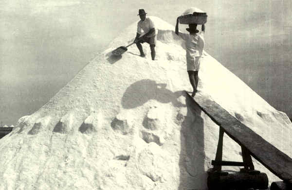 Fotografia da Câmara Municipal de Aveiro.