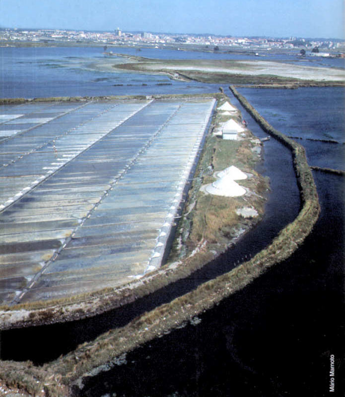 Fotografia M�rio Marnoto