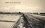 N.� 21 - Aveiro Marinhas de sal - Editores MOREIRA & TORRES, Aveiro - SD - Dimens�es 13,6x8,8 cm. - Col.  FMSarmento.