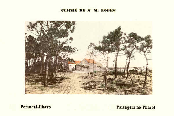 S/N - Portugal Ilhavo Paisagem do Pharol - Cliche de A. M. Lopes - SD - Dimens�es 13,8x9,2 cm. - Col.  FMSarmento.