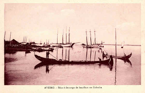 SN - AVEIRO Seca e descarga de bacalhau na Gafanha - Edi��o Souto Ratolla, Aveiro - SD - Dimens�es: 14x9,2 cm. - Col. FMSarmento