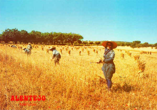 N.� 788 - ALENTEJO-Portugal - Edi��o COMER, Trav. do Alecrim, 1 Tel. 328775, Lisboa - S/D - Dimens�es: 14,9x10,5 cm. - Col. HJCO