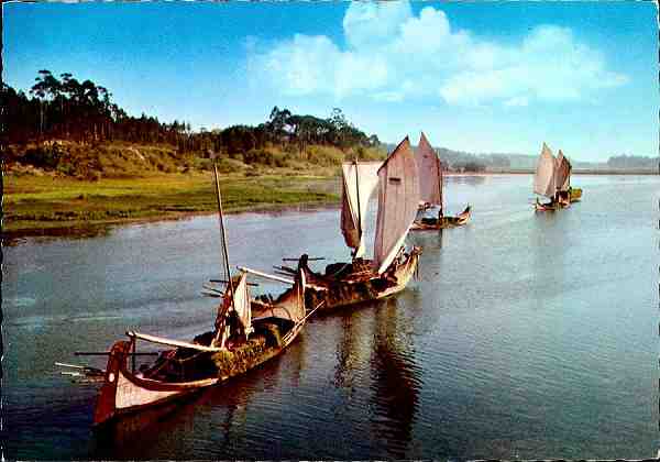 N.� 679 - Aveiro: Moliceiros na Ria - Edi��o Supercor, Dist. por RAN, Lisboa, Rua Da Quintinha 70 B, tel. 690.192 - 661.514 - S/D - Dimens�es: 14,8x10,3 cm. - Col. HJCO