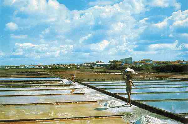 N.� 30 - Ed. Bruno da Rocha, Aveiro - S/D - Dimens�es: 14,8x10,4 cm. - Col. HJCO