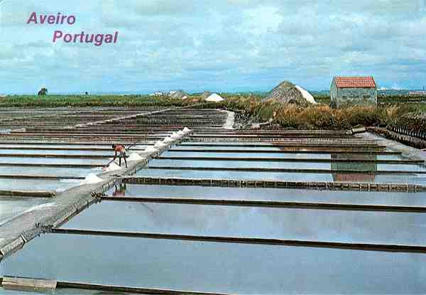 N.� 23 - Distribui��o Bruno da Rocha - Aveiro - S/D - Dimens�es: 14,8x10,4 cm. - Col. HJCO