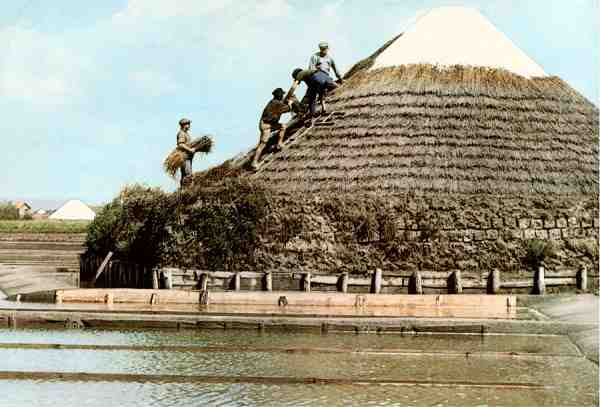 Edi��o da Comiss�o Municipal de Turismo de Aveiro - S�rie 81/N.� 9 - S/D - Dimens�es: 14,9x10,2 cm. - Col. Carvalhinho.