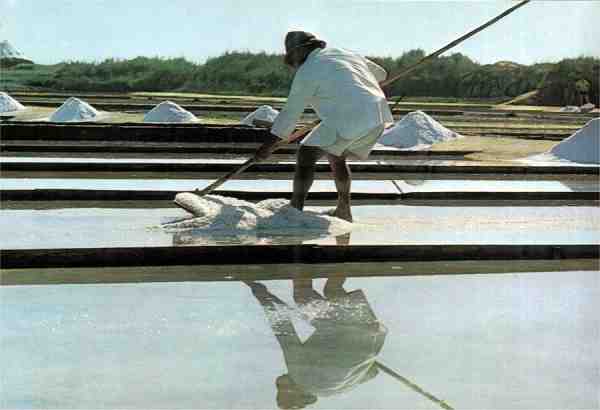 Edi��o da Comiss�o Municipal de Turismo de Aveiro - S�rie 81/N.� 7 - S/D - Dimens�es: 14,9x10,2 cm. - Col. Carvalhinho.