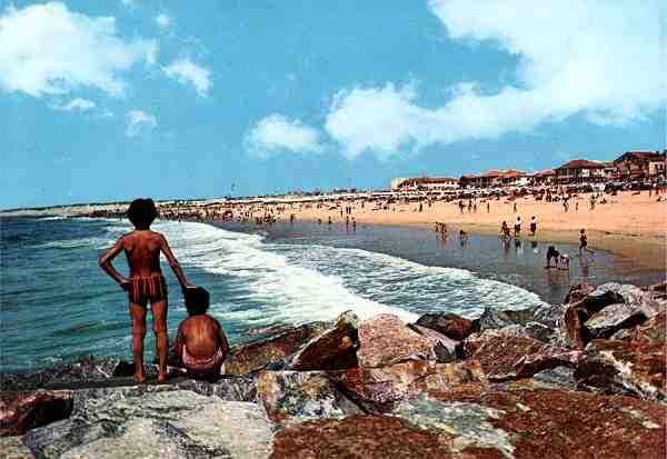 N.� 2024 - Centro de Caridade N� Sr� Perp�tuo Socorro - Porto - S/D - Dimens�es: 14,6x10,1 cm. - Col. Carvalhinho.