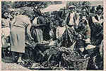S/N - Portugal-Caldas da Rainha Interessante aspecto do mercado de frutas - Editor Fernando Daniel de Sousa - Editado em 1944 - Dimens�es: 15,0x10,5 cm. - Col. Miguel Chaby