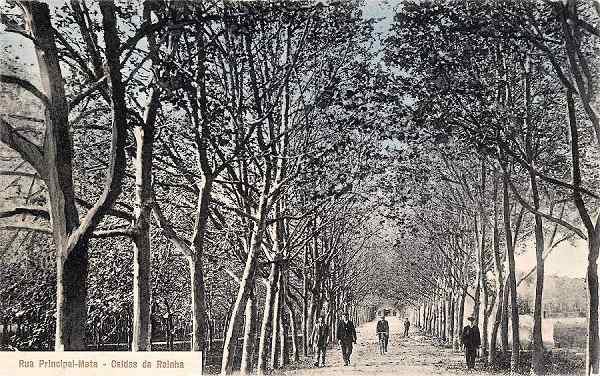 S/N - Caldas da Rainha-Portugal - Rua Principal da Mata - Editor Ourivesaria Portuense (1911) - Dimens�es: 13,9x8,7 cm. - Col. Miguel Chaby.