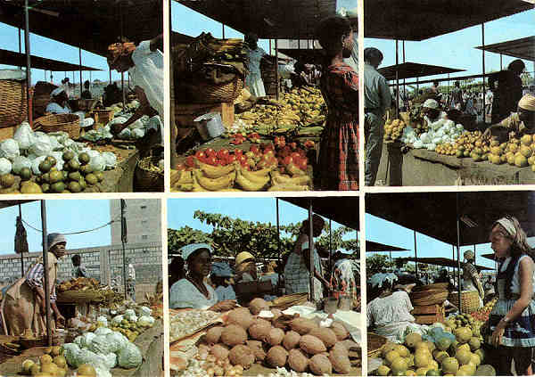 N.� 16 - LUANDA Mercado de S. Paulo - Ed. Elmar - S/D - Dimens�es: 14,8x10,4 cm .  Col. Jos� Manuel C. Pereira (1972).