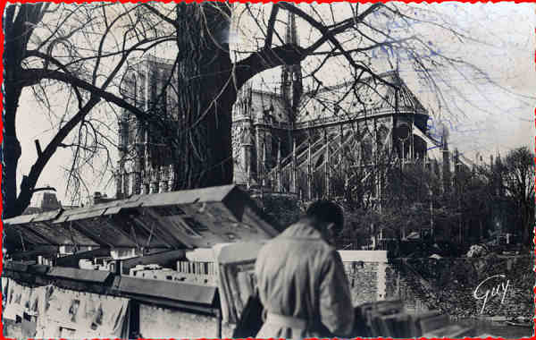 N� 3231 - Paris. Margem do Sena e Catedral de Notre Dame - Edit Andr� Laconte,Paris - Circulado em 1951 - Dim. 13,9x8,8 cm - Col. Am�lcar Monge da Silva