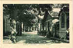 SN - PEDRAS SALGADAS - Avenida das Nascentes - Editor n�o indicado - SD - Dim 9,3x14,2 cm - Col. Jaime da Silva (Circulado em 1923).
