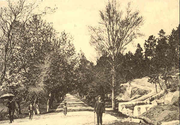 N� 20 - Pombal: estrada para Coimbra no Alto do Caba�o - 1� Ed. Associa��o de Defesa do Patrim�nio Cultural de Pombal - C�mara de Pombal - SD - Dim. 103x146 mm - Col. �nio Semedo