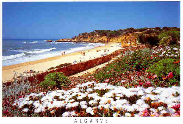 N.� 082-475109 - Praia de Santa Eul�lia Albufeira Algarve Portugal - Edi��o VISTAL - S/D - Dimens�es: 15x10,3 cm. - Col. Gra�a Maia