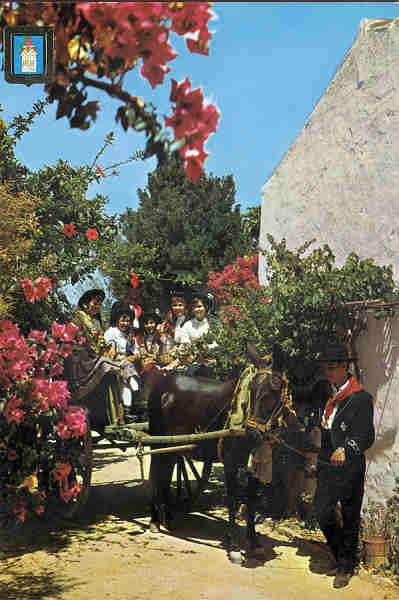 N� 195 - ALGARVE Portugal - Carro�a t�pica. Trajes regionais - Ed. LIFER, Porto - SD - Dim. 15x9 cm. - Col. Ilda Bastos (Circ.1969).