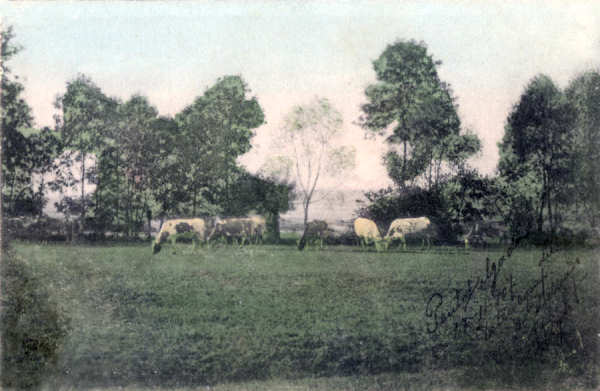 S�rie 2174 - Editor D & C, Berlin - Circulado em 1907 - Dim. 13,6x8,7 cm - Col. Am�lcar Monge da Silva