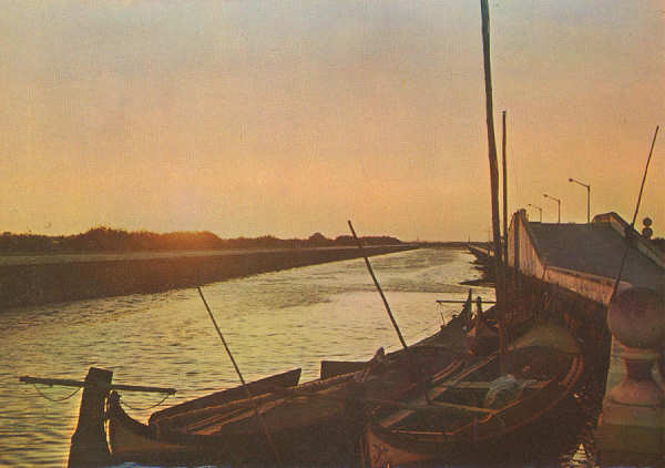 Ref� 5/4 - P�r-do-sol-Portugal - Edi��o �ncora, Edi��es Art�sticas, Lisboa - S/D - Dimens�es: 14,9x10,5 cm. - Col. Gra�a Maia