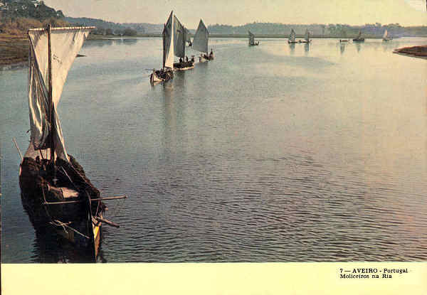 N.� 7 - AVEIRO Portugal - Edi��o da Papelaria Avenida, Aveiro - S/D - Dimens�es: 14,9x10,5 cm. - Col. �nio Semedo.