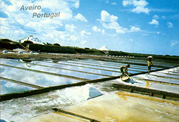 N.� 27 - AVEIRO Portugal Salineiras, transportando o sal - Distribuidores Bruno da Rocha, Aveiro - S/D - Dimens�es: 14,9x10,5 cm. - Col. �nio Semedo.