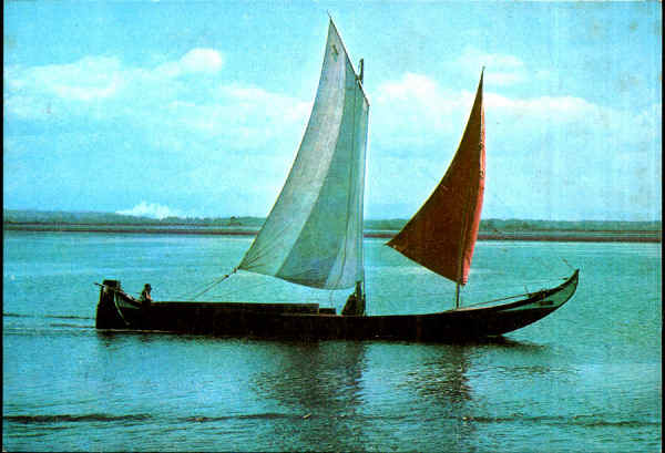 N.� 545 - RIA DE AVEIRO - Portugal Barco Moliceiro - Edi��o "Supercor" - S/D - Dimens�es: 14,8x10,2 cm. -Col. �nio Semedo. 