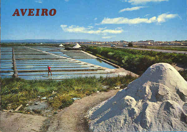 N.� 331/494 - AVEIRO Salinas - Edi��o G�tica, Porto, Rua N. S. de F�tima - S/D - Dimens�es: 14,6x10,4 cm. - Col. �nio Semedo.