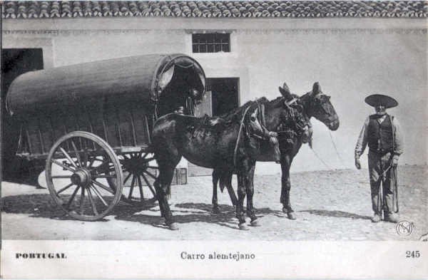 N� 245 - Carro alentejano - Editor Martins & Silva, Pr�a Lu�s de Cam�es, 35, Lisboa. - Dim. 140x89 mm - Col. A. Monge da Silva. (adquirido em 1909)