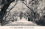 N.� 781 - CALDAS DA RAINHA-Rua Central da Matta - Editor Alberto Malva (Editado em 1908) - Dimens�es: 14x9 cm. - Col. Miguel Chaby