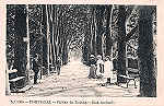 N.� 1265 - Portugal Caldas da Rainha Rua Andrade - Editor Alberto Malva (Editado em 1910) - Dimens�es: 9x14 cm. - Col. Miguel Chaby