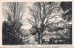 N.� 4511 - Portugal Caldas da Rainha Arenal (Inverno) - Editor Jos� da Silva Dias (Editado em 1920) - Dimens�es: 9x14 cm. - Col. Miguel Chaby