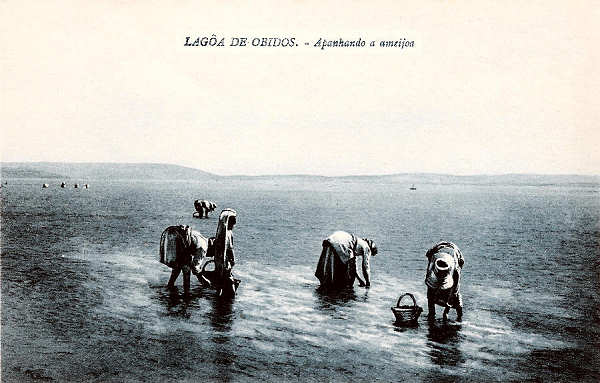 S/N - Portugal-Caldas da Rainha Lagoa de �bidos Apanhando a ameijoa - Editor Jos� da Silva Dias (Editado em 1927) - Dimens�es: 14x9 cm. - Col. Miguel Chaby
