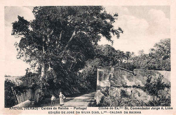 N.� 4510 - Portugal Caldas da Rainha Arenal (Ver�o) - Editor Jos� da Silva Dias (Editado em 1920) - Dimens�es: 9x14 cm. - Col. Miguel Chaby
