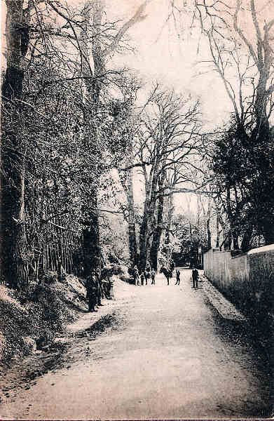 S/N - Portugal Caldas da Rainha Rua Rafael Bordalo Pinheiro - Editor Jos� da Silva Dias (Editado em 1912) - Dimens�es: 9x14 cm. - Col. Miguel Chaby