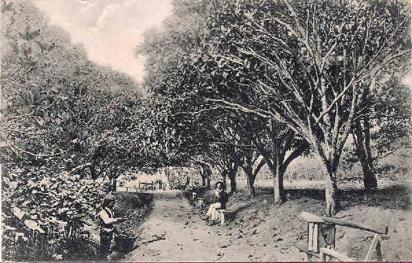 S/N - Portugal Caldas da Rainha Foz do Arelho Rua da Fonte da Quinta do Bom Sucesso - Editor Jos� da Silva Dias (Editado em 1912) - Dim. 9x14 cm. - Col. M. Chaby