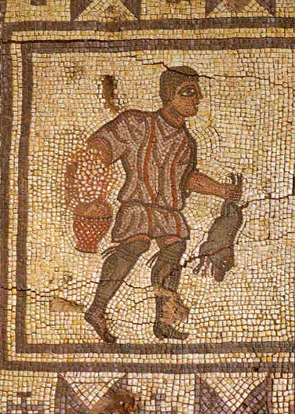 N.� 60 - MUSEU MONOGR�FICO DE CON�MBRIGA. Mosaico do campon�s transportando um leit�o. S�c. 3 d. C. - Fot�grafo DELFIM FERREIRA - Impressores EDARTE, Porto - SD - Dim. 14,6x10,5 cm. - Col. F�tima B�ia.