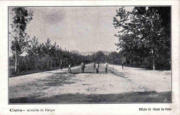 SN - Curia - Avenida do Parque - Ed. Bazar da Curia - Dim. 13,9x8,9 cm - Col. A. Sim�es (025).