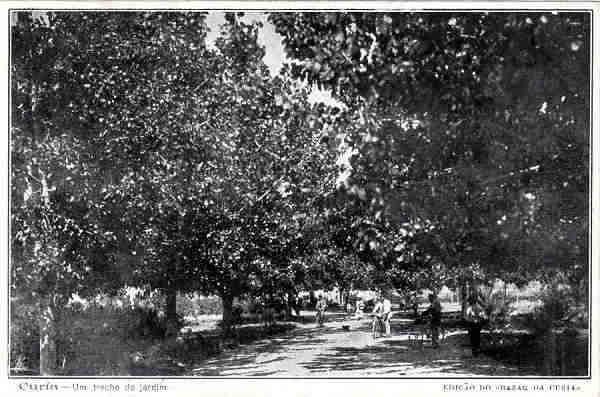 SN - Curia - Um trecho do jardim - Ed. Bazar da Curia - Dim. 14,1x9,3 cm - Col. A. Sim�es (311).