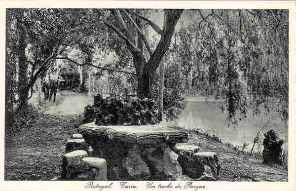 SN - Portugal. Curia Um trecho do Parque - Ed. Bazar Soares, Porto - (Foto Soares Leit�o, Curia) - Dim. 13,7x 8,9 