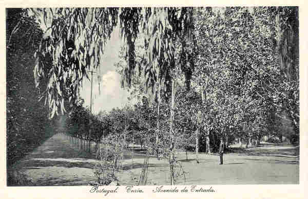 SN - Portugal. Curia. Avenida da Entrada - Ed. Bazar Soares, Porto - (Foto Soares Leit�o, Curia) - Dim.13,8x9,0 cm - Col. A. Sim�es (332).