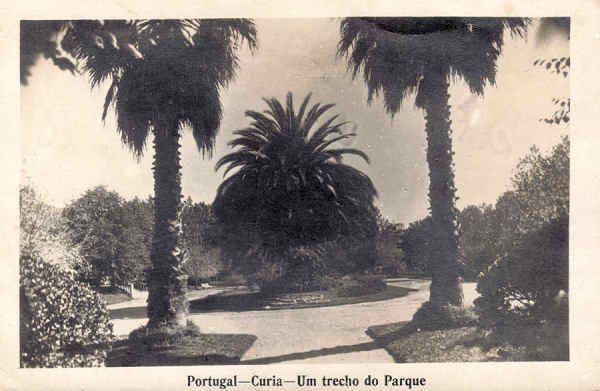 SN - Portugal - Curia - Um trecho do Parque - Ed. Foto Soares, Porto - Curia - Gerez -Dim. 13,8x8,9 cm - Circ. 1931 - Col. A. Sim�es ( 394).