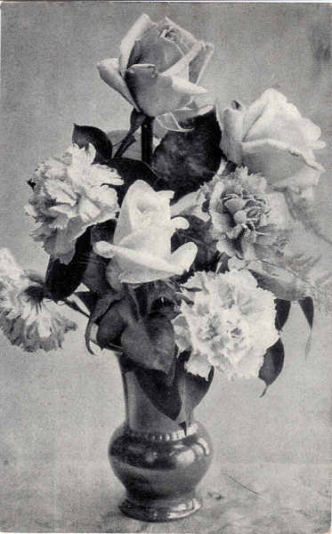 SN - Flores da Curia - Ed. Palace Hotel da Curia - Dim. 13,4x8,5 cm - col. A. Sim�es (393).