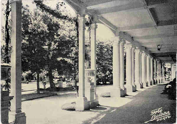 SN - CURIA - Um trecho dos jardins - Editor n�o indicado - Dim. 14,6x10,3 cm - Circ. 9-1962 - Col. A. Sim�es (367-1).