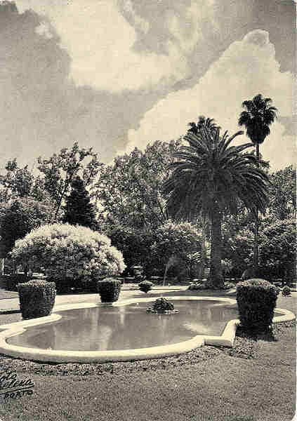 SN - CURIA - Um trecho dos Jardins - Ed. Junta de Turismo da Curia - Dim. 14,6x10,3 cm - Col. A. Sim�es (231).