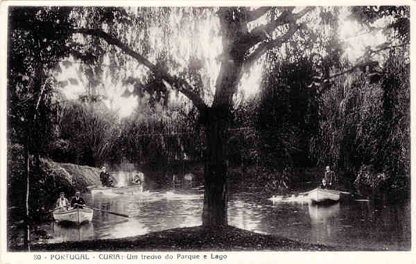 N� 80 - PORTUGAL - CURIA - Um trecho do Parque e Lago - Ed. Alexandre d'Almeida, isboa - Dim. 14,1x8,9 cm - Col. A. Sim�es (2).