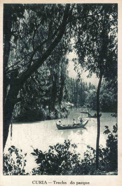 SN - CURIA - Trecho do Parque - Ed. Neogravura, Limitada, Lisboa  - Dim. 9,2x13,9 cm - Col. A. Sim�es (167 - 1).