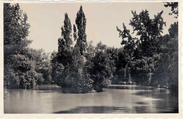 SN - CURIA - Portugal - Vista do Lago - Ed Junta de Turismo, Curia -  13,9x9,0 cm - Circ. 9/1948 - Col. A. Sim�es (185-1).