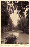 SN - Portugal - Curia Parque. Lago. A Ponte - Ed. Grande Hotel da Curia - SD - Dim.14,0x9,0 cm - Col. A. Sim�es (272).